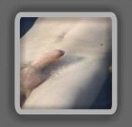 A meaty white cock that doesn't shrivel in cold water!