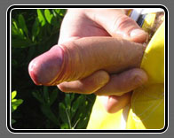 David rubbing his cute pink head in the hopes that some gay stud will suck it off!