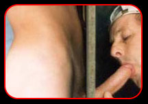 Rod strips down outdoors, then gets his cocked sucked by a horny gay dude while he watches a porno!